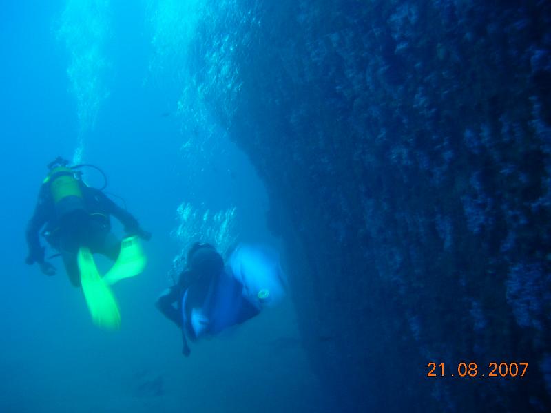 DSCN5967
